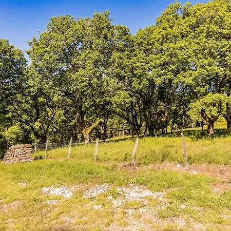 Quercus Proche Rocamadour, 150m² 12 Personnes *