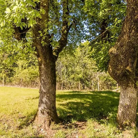Quercus Proche Rocamadour, 150m² 12 Personnes *