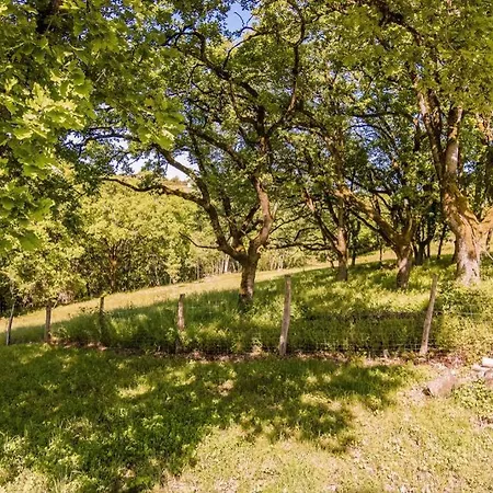 Quercus Proche Rocamadour, 150m² 12 Personnes Prázdninový dům Mayrac